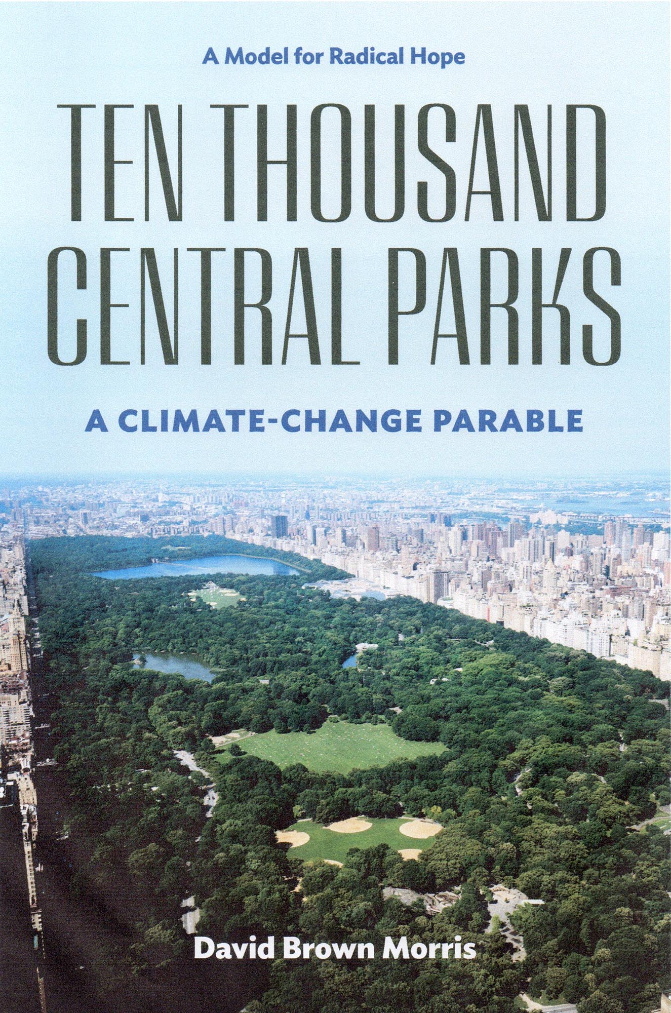 Ten Thousand Central Parks by David Brown Morris